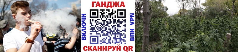 Бошки марихуана Ganja  мориарти какой сайт  Арзамас  где купить наркоту 